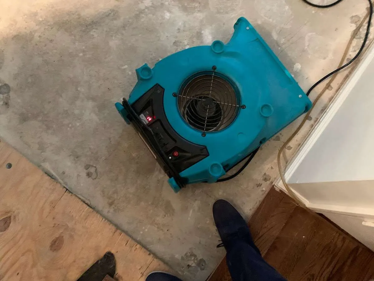 Air mover drying subfloor during Commercial Water Damage Restoration in Hillsborough